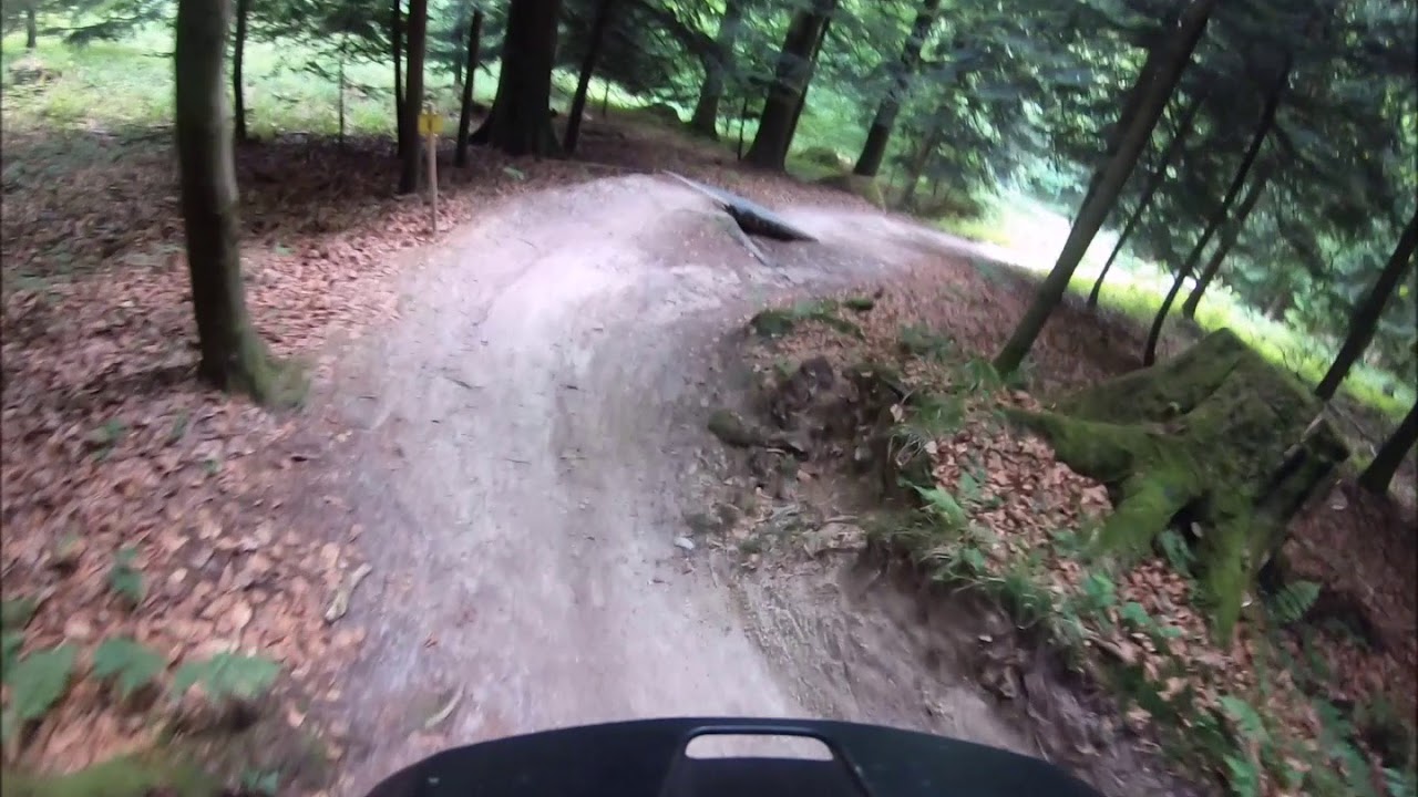 MTB JUST 4 FUN SKILLSTRAINING GIGELIWALD TRAIL