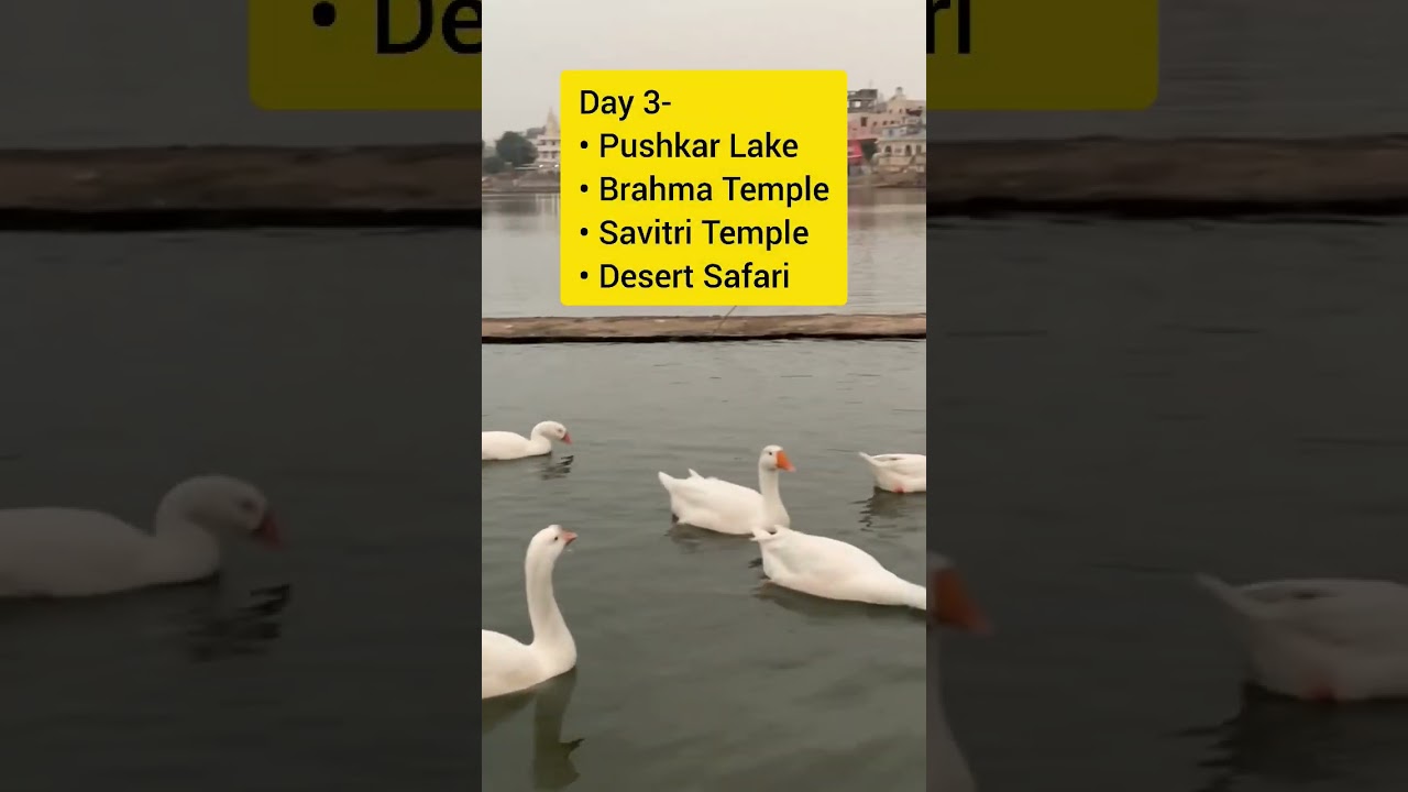 Delhi to Jaipur Pushkar Ajmer Long weekend Trip Plan | Jaipur Pushkar Trip Plan |  