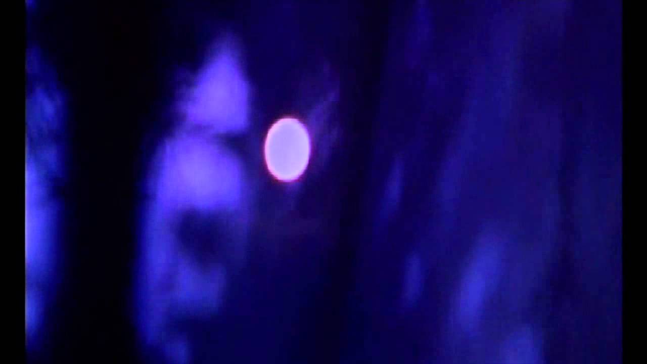 Croatian Amor - 