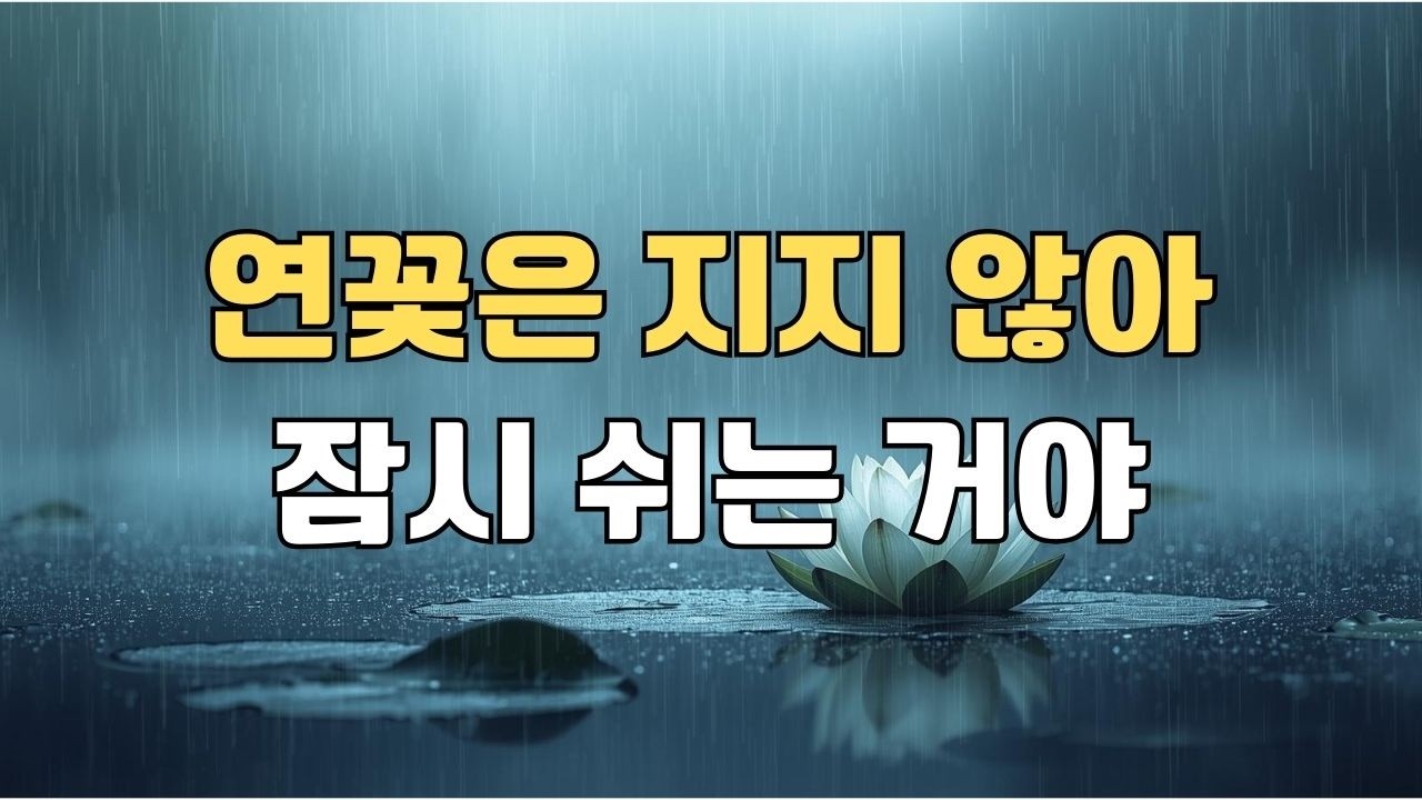 연꽃 같은 사랑아 | 다시 필 날을 기다리며