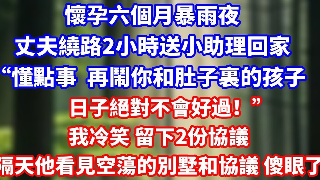 懷孕六個月暴雨夜丈夫繞路2小時，送小助理回家“懂點事  再鬧你和肚子裏的孩子日子絕對不會好過！”我冷笑 留下2份協議，隔天他看見空蕩的別墅和協議 傻眼了！#總裁 #完結 #爽文