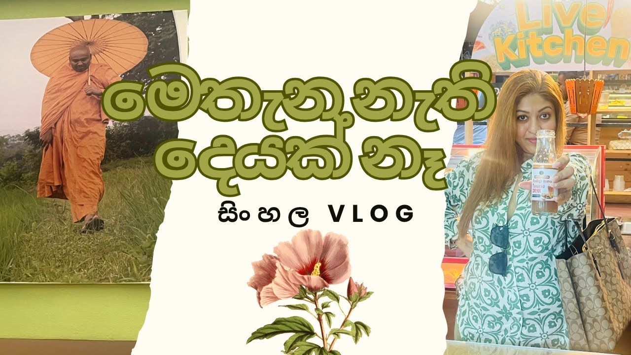 Why I Keep Coming Back to Umandawa Green Hut | Healthy & Affordable Dining 💚 | සිංහල Vlog