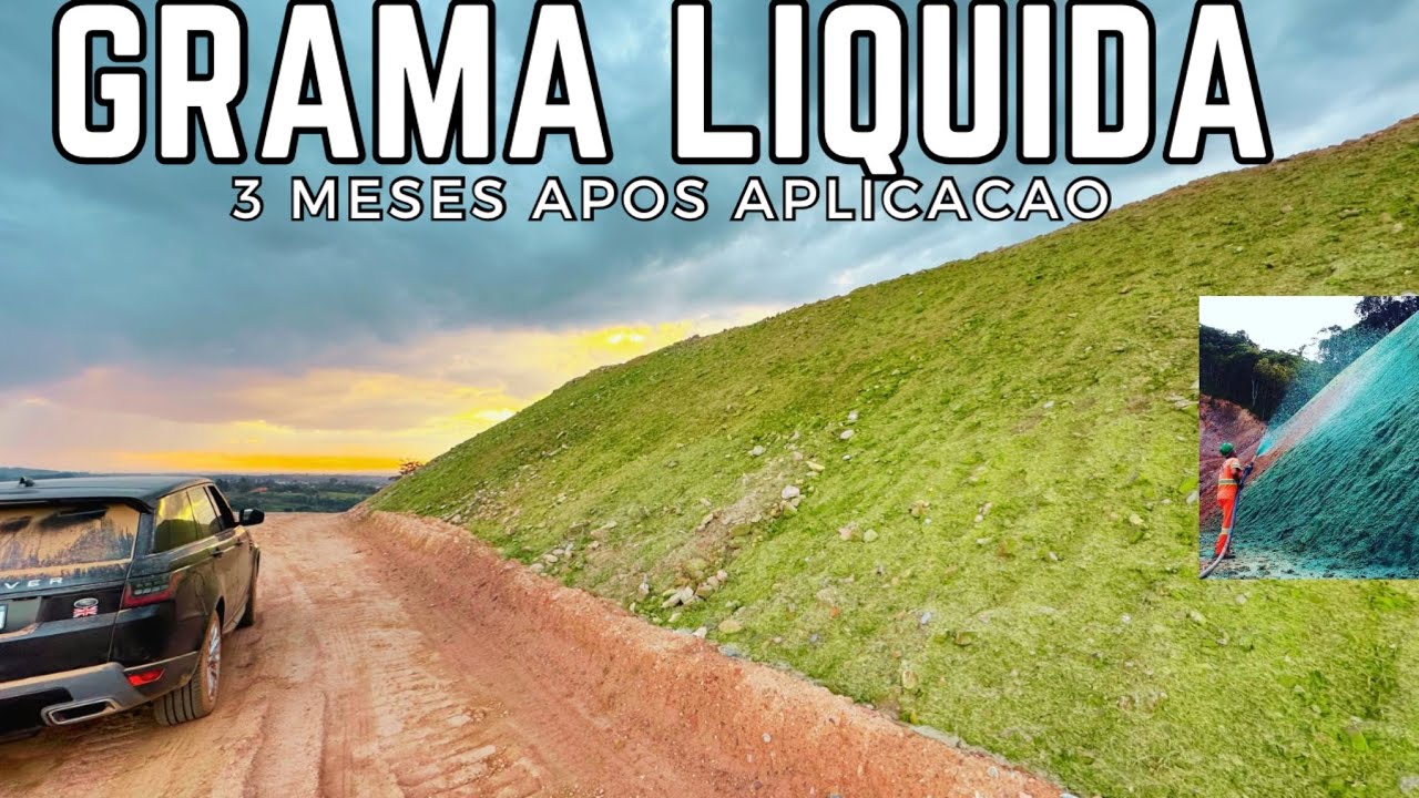 Grama líquida - Hidrossemeadura