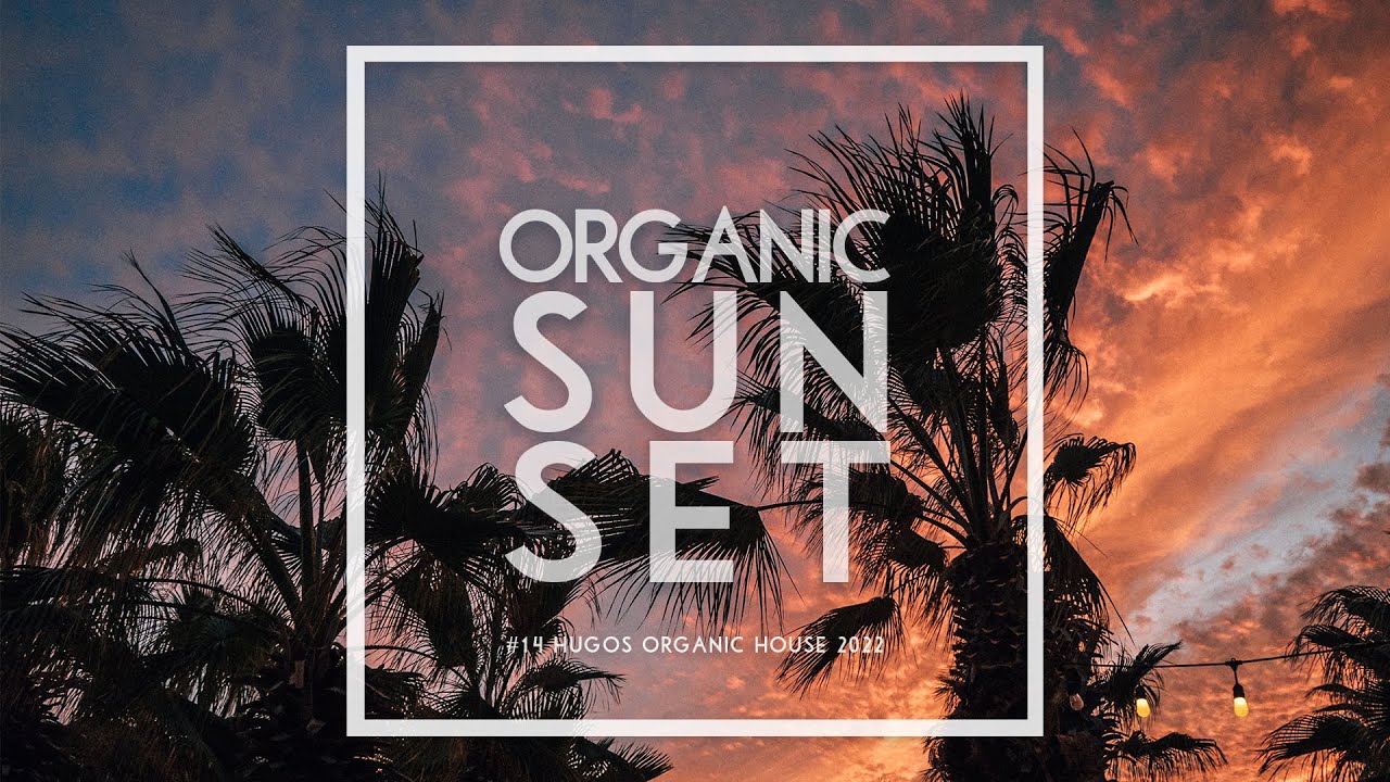 Organic Sunset | Live DJ SET
