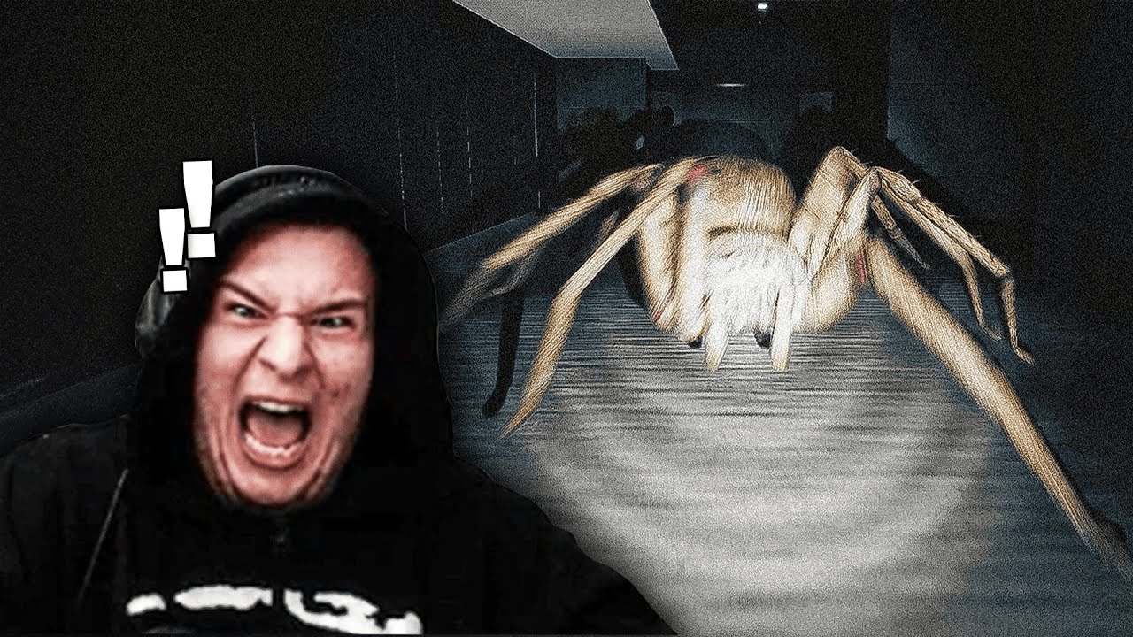 ARAIGNÉE XXL + MOI = SOUFFRANCE (je suis arachnophobe).