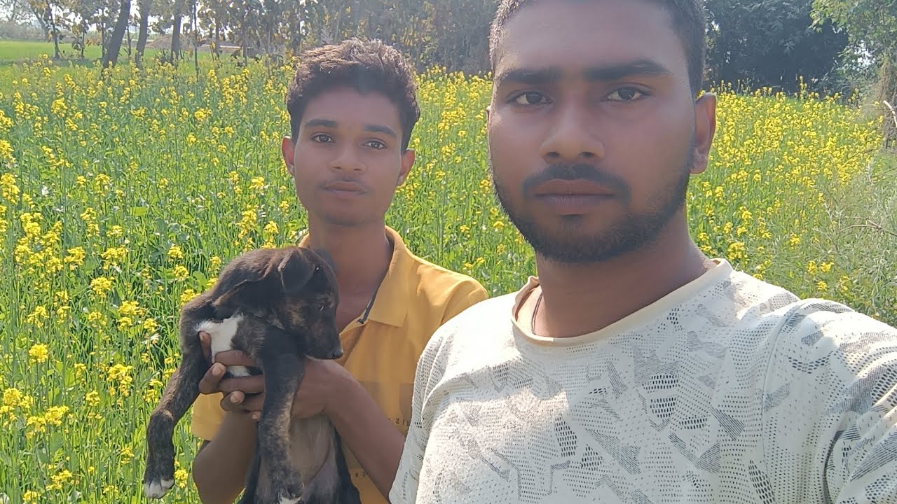 Ghumne gye khet pe