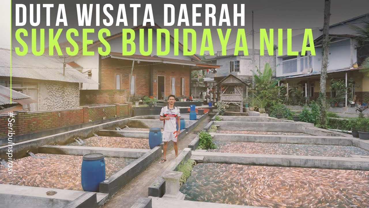 Budidaya Ikan Nila Kolam Air Deras Ikan Cepat Besar Lebih Untung