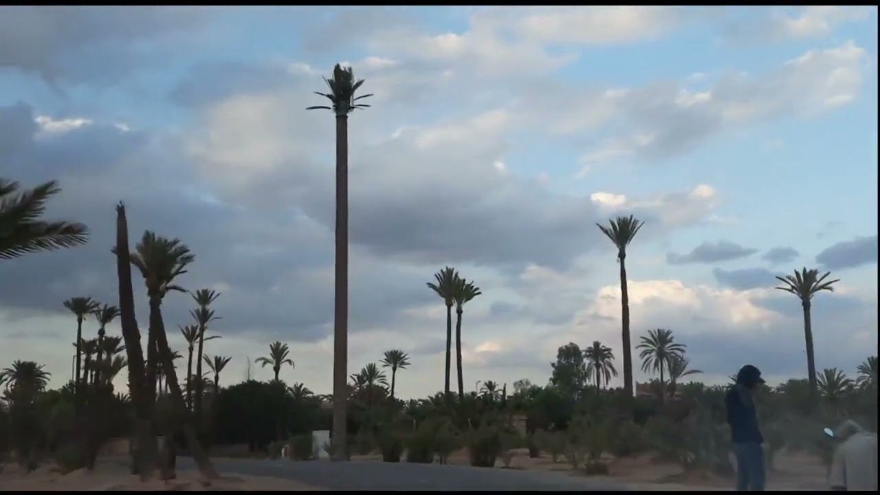 جولة في منطقة النخيل مراكش جو  هادئ