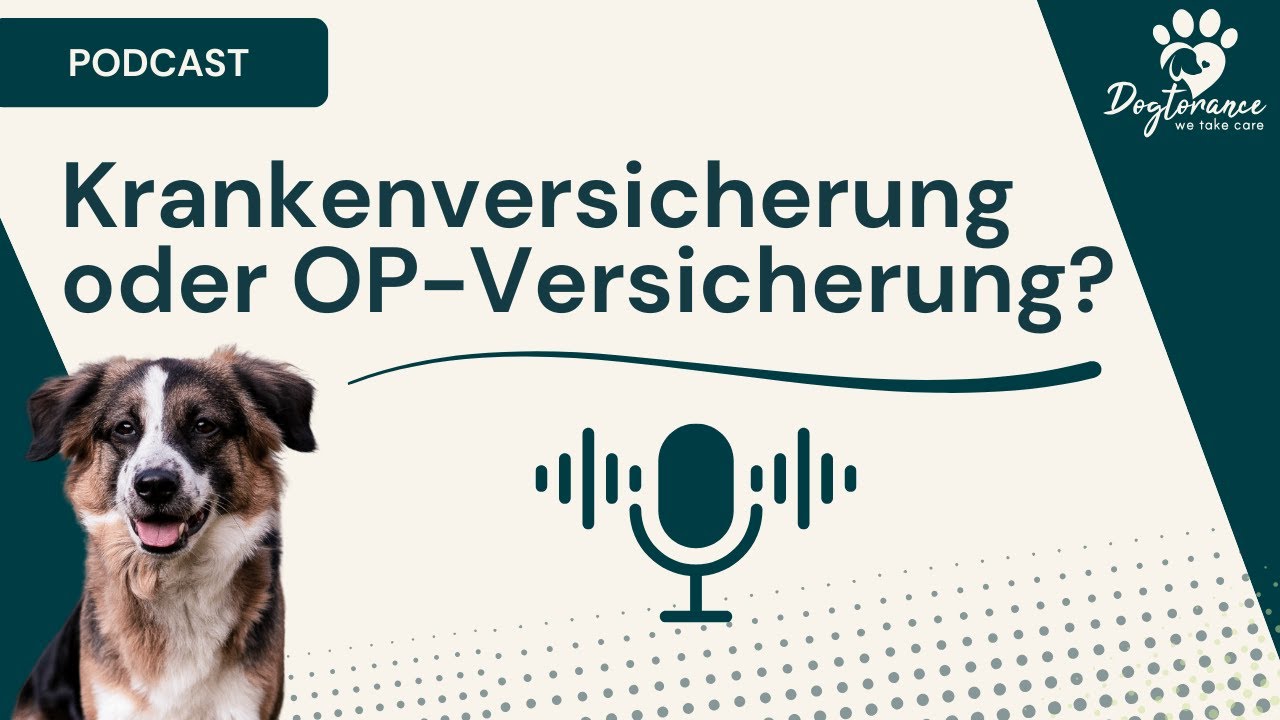 Kranken- oder OP-Versicherung für Hunde: Was Tierbesitzer wirklich wissen müssen!