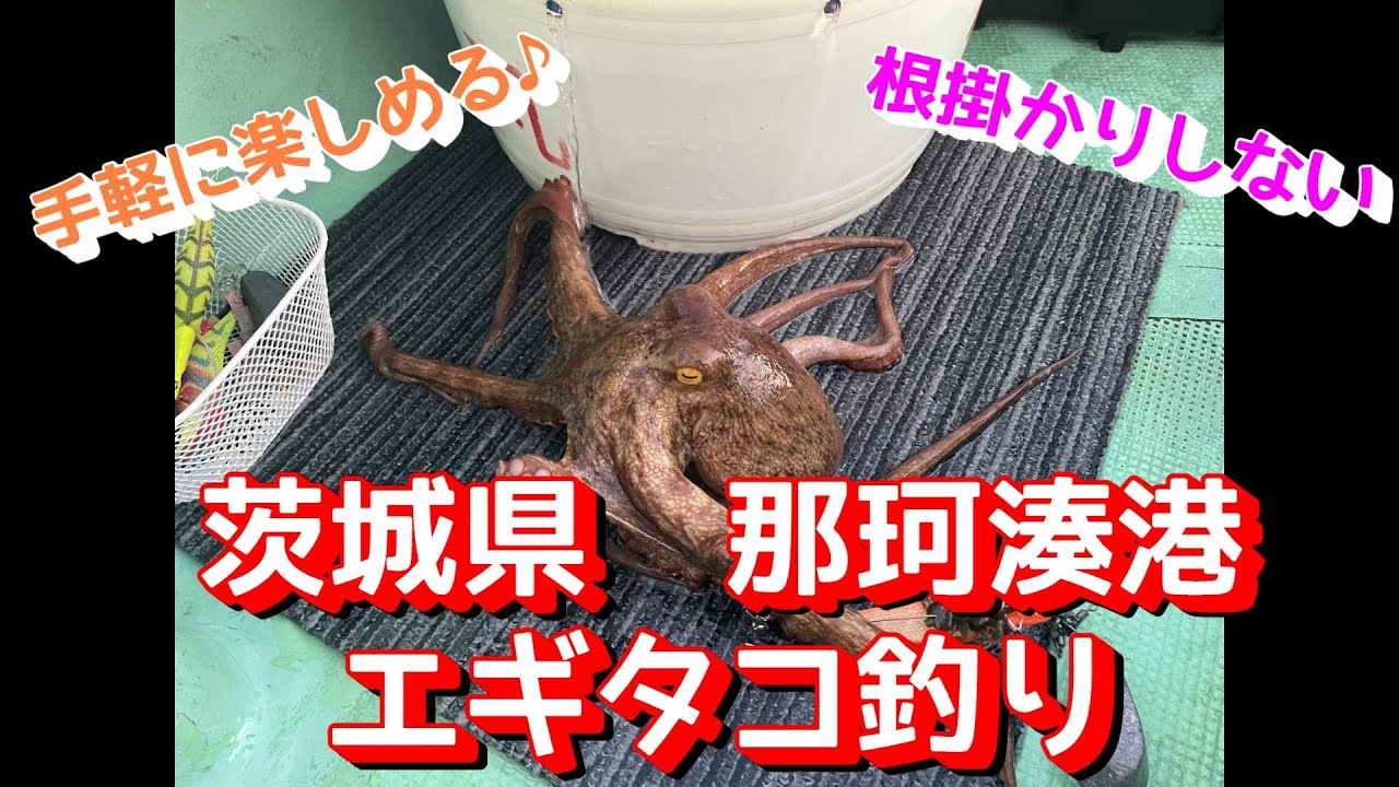 【那珂湊港】餌木で狙うタコ釣り！！！