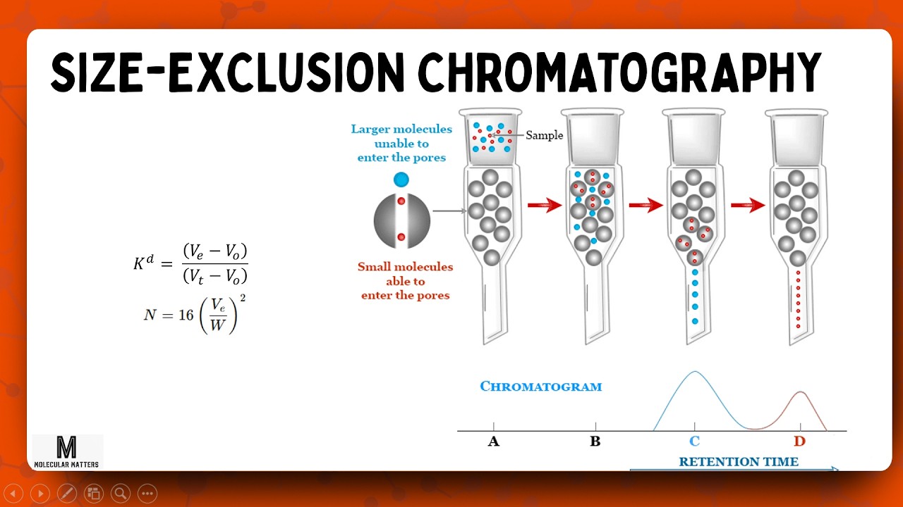 Size-Exclusion Chromatography (SEC)- Gel Filtration Chromatography (GFC)