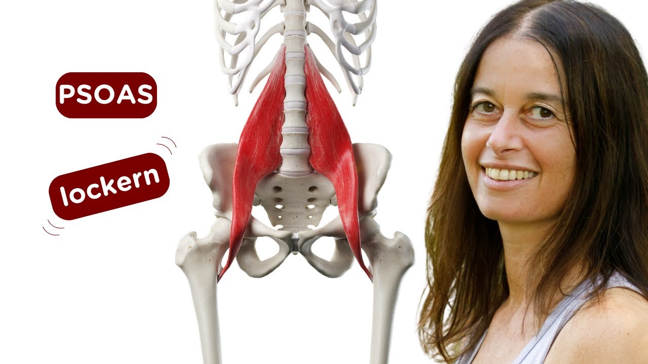 3 Übungen in Rückenlage, um den Psoas zu entspannen