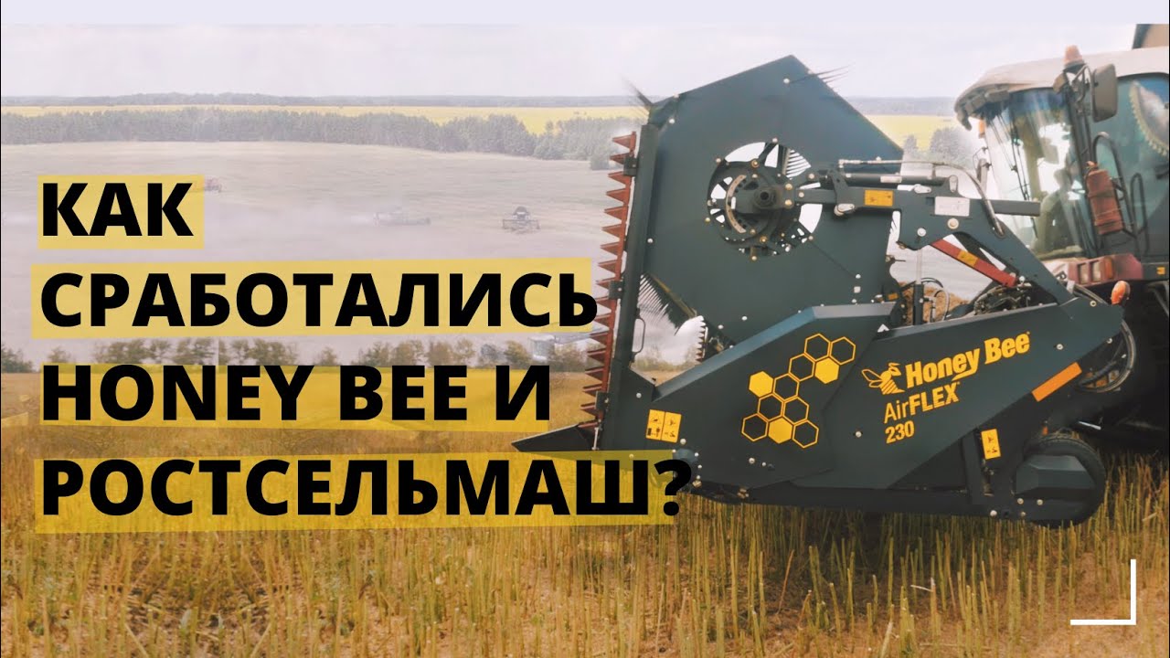 Уборка рапса: жатка Honey Bee и комбайн Ростсельмаш