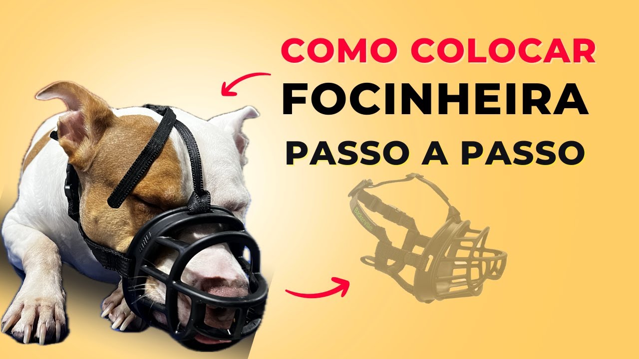 Passo a Passo Completo: Focinheira para Pitbulls sem Estresse