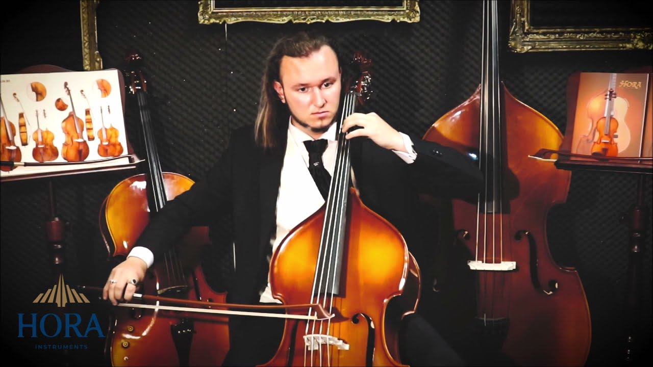 Hora Double bass 1/10 size