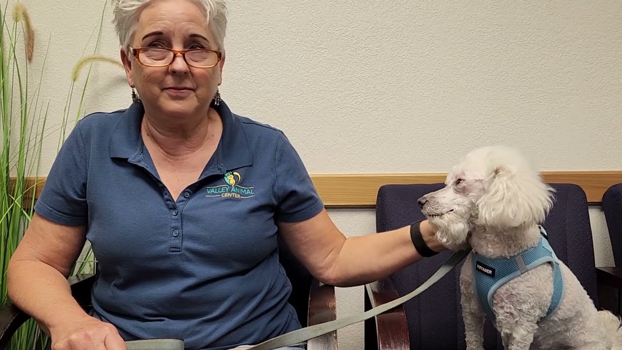 #SAVETHEANIMALS: Week 1