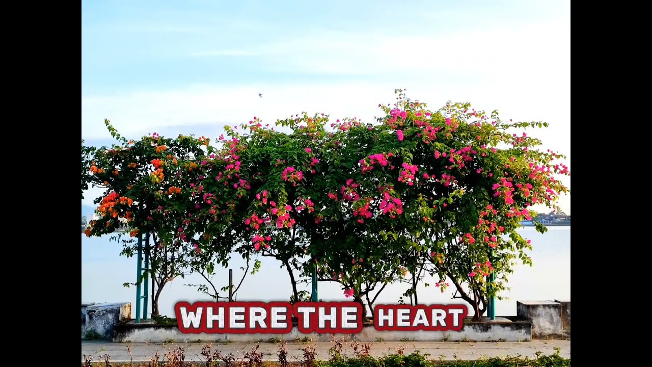 Practice English Speaking | My favorite place #ielts #speakingpractice #englishvocabulary