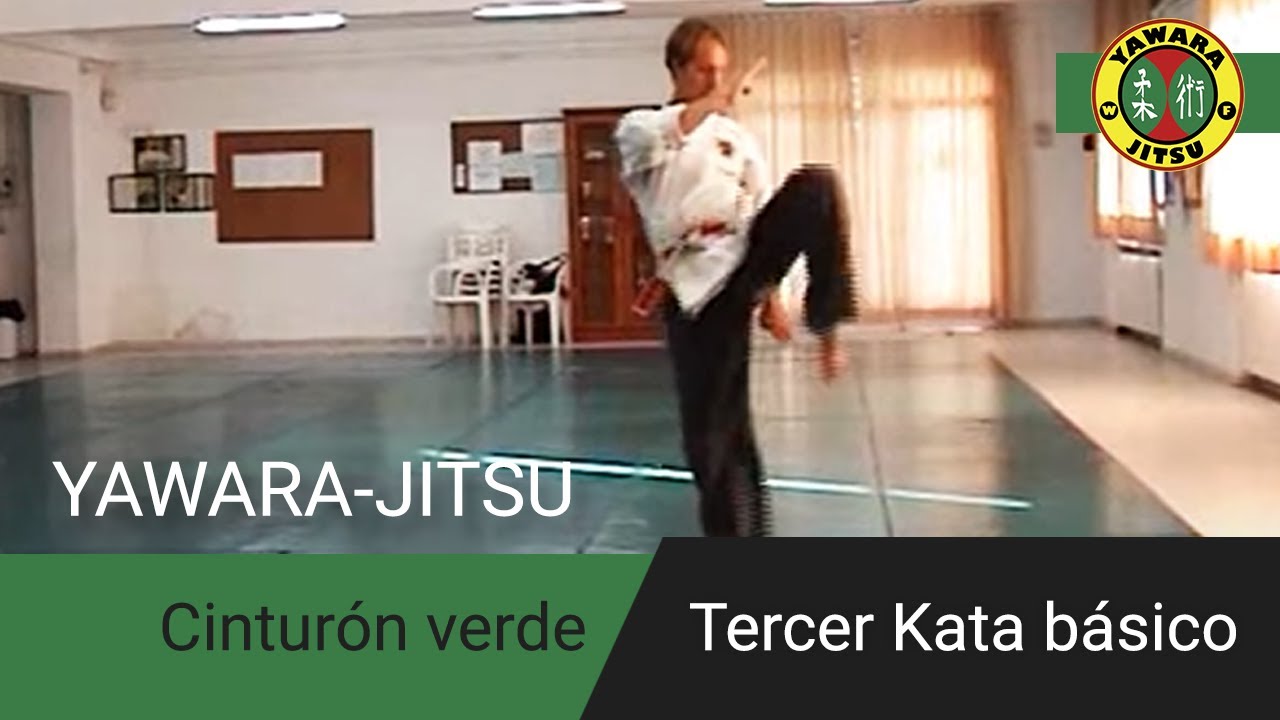 Tercer Kata de Yawara-Jitsu [Cinturón Verde]