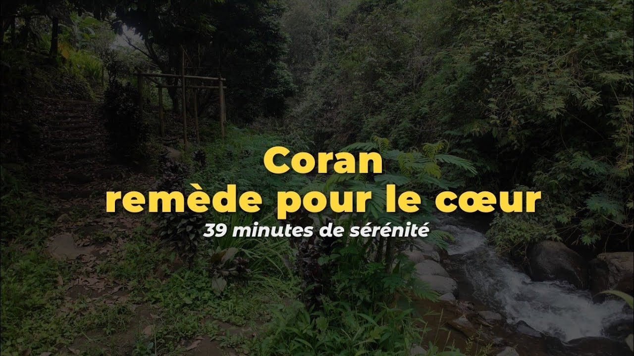 Coran — un remède pour le cœur | 39 minutes de sérénité #coran #paix #apaisement