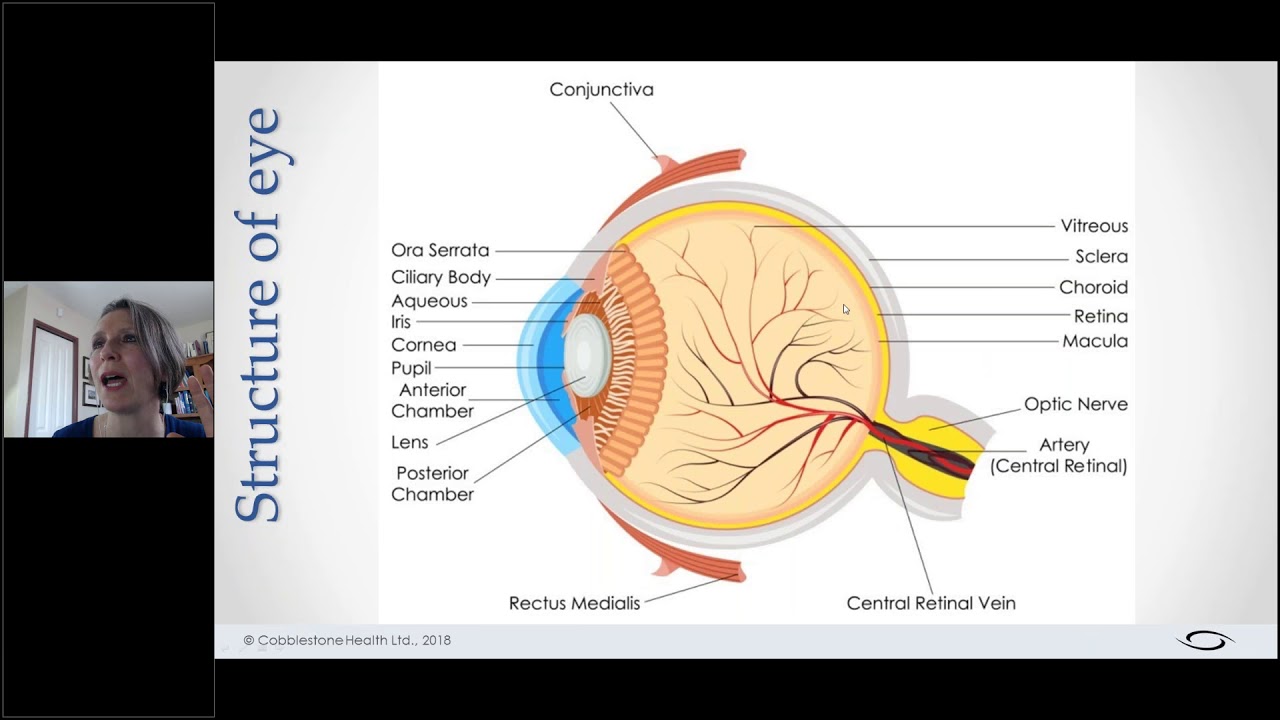Introduction to Iridology