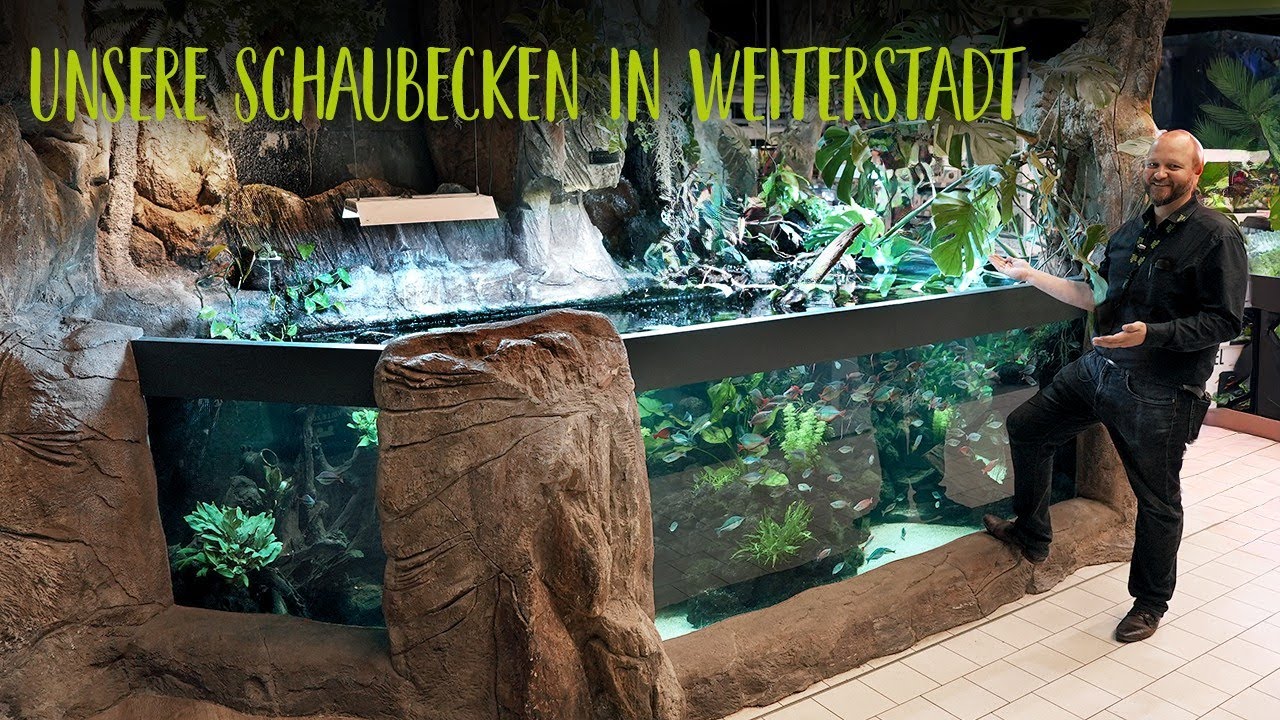 Update von unseren Schaubecken in Weiterstadt  | KÖLLE ZOO