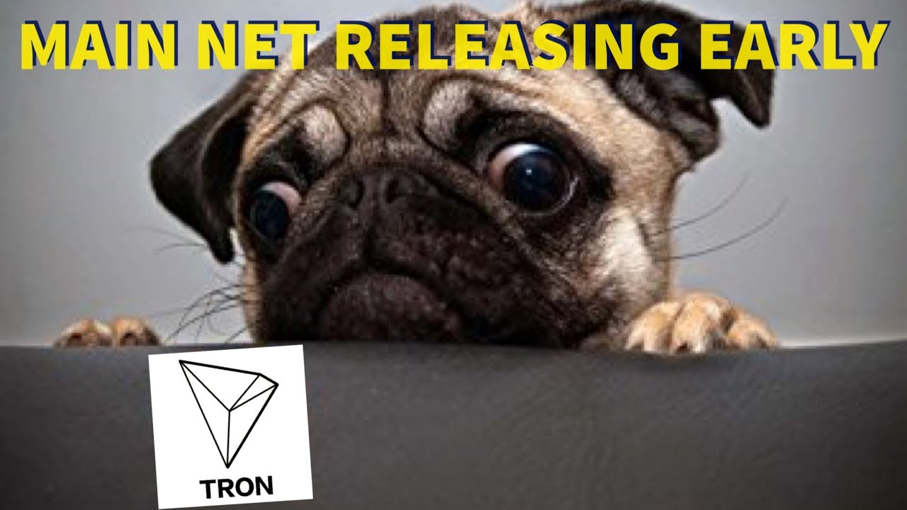 Tron's Main Net Releasing Early and Evidence - Explaining Justin Sun's Tweet
