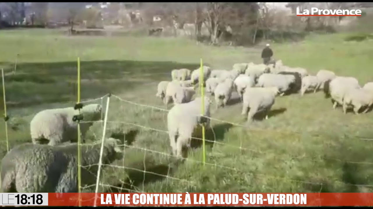 Pendant ce temps, la vie continue &agrave; La Palud-sur-Verdon