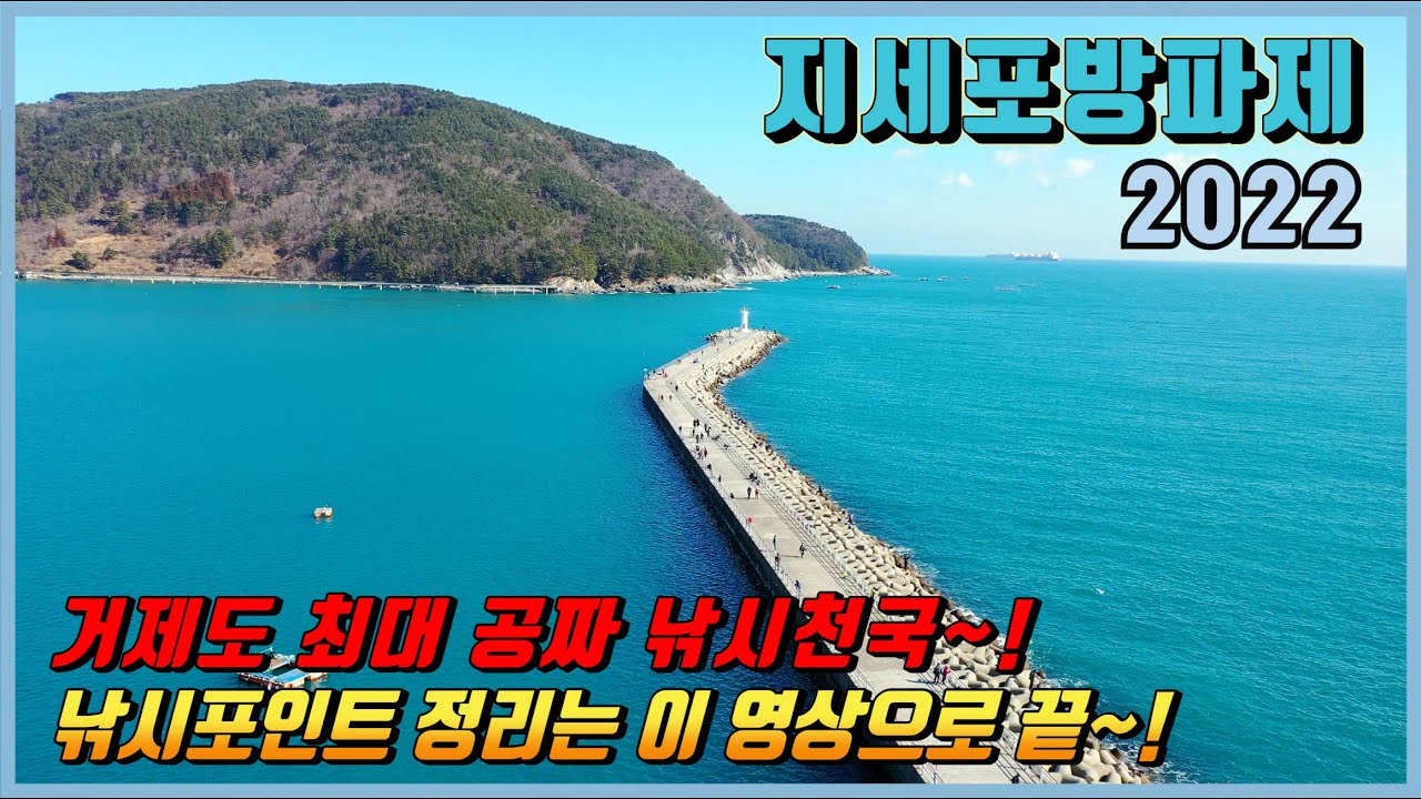 거제도 최대규모 공짜 낚시천국~! (지세포방파제  낚시 전 시청 필수!!!)