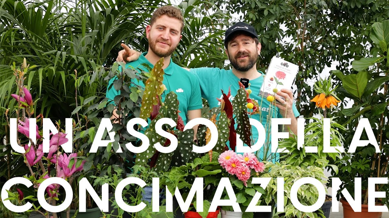 Un concime universale per tutte le piante: Asso di Fiori!