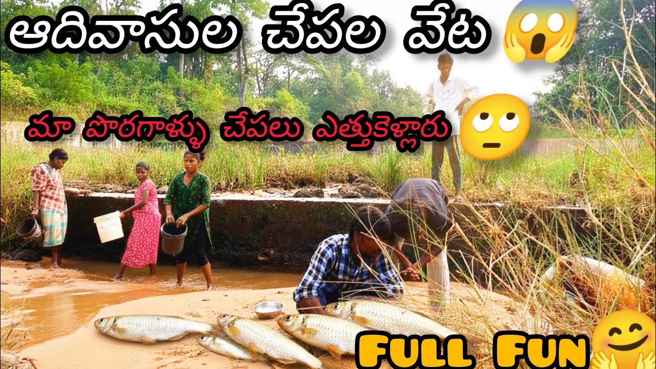 ఆదివాసుల చేపల వేట 🤯 మా పొరగళ్లు చేపలు ఎలా ఎత్తుకెళ్లరో చూడండి! 😳🐟