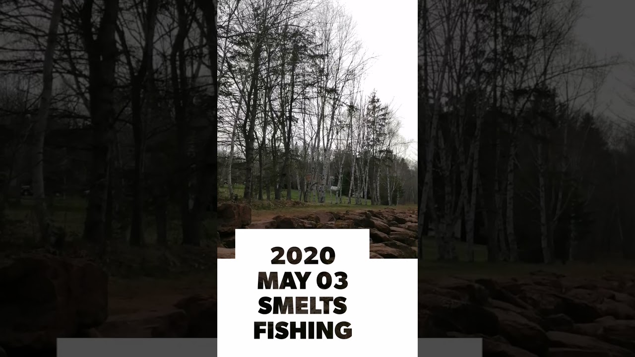 2021 May smelts fishing捞多春鱼