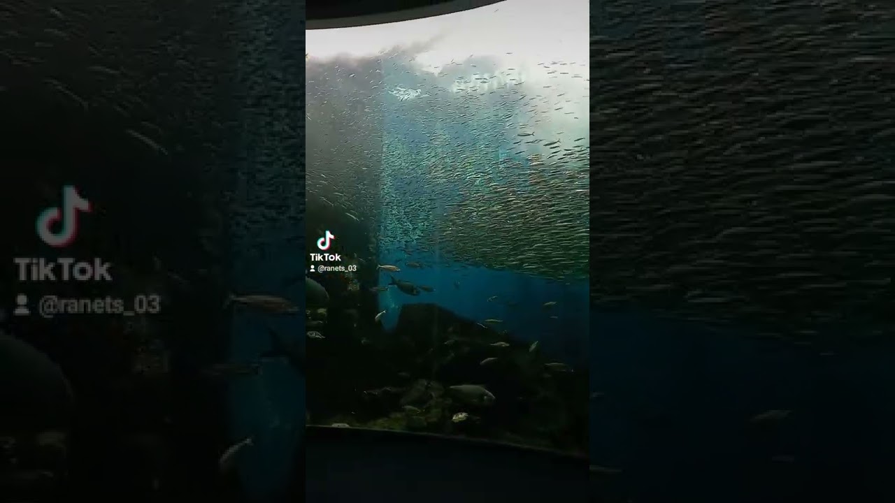 Notojima Aquarium and  Seaside Park @ Nanao, Ishikawa Japan 🇯🇵