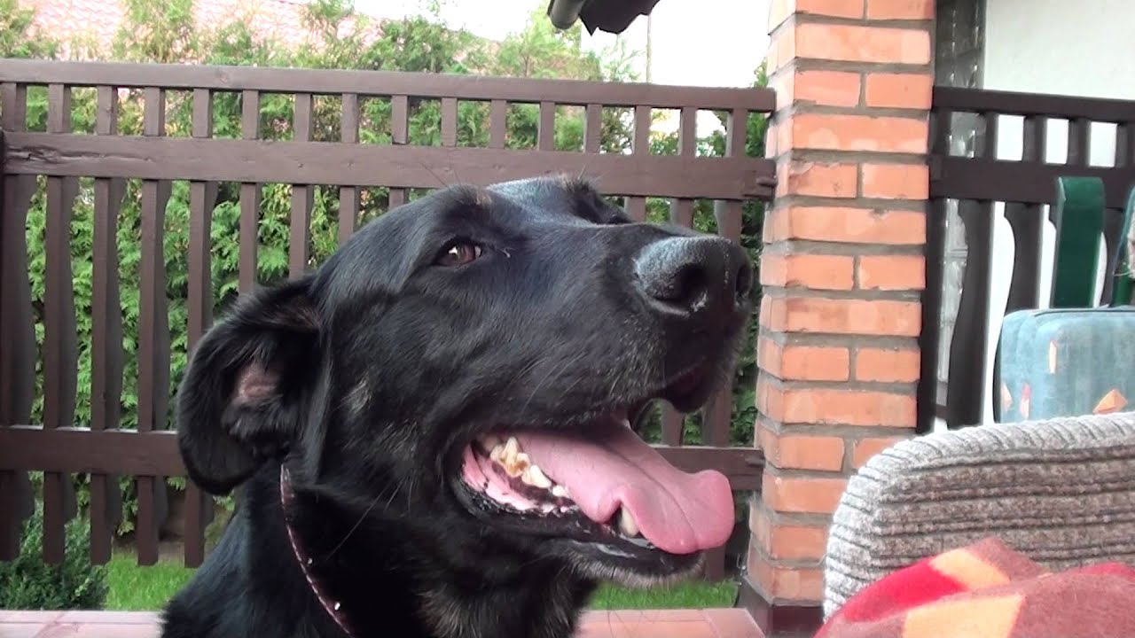 FULL HD test - Sony HDR-CX115