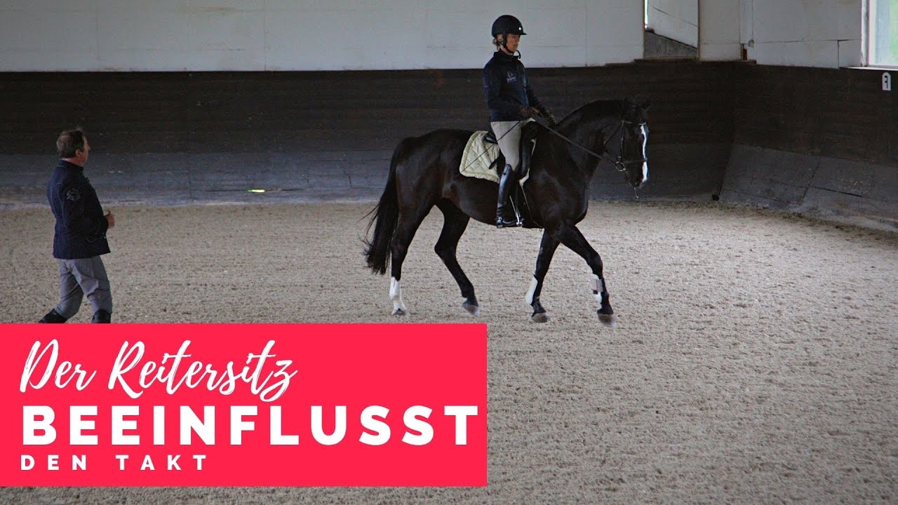 Besser reiten mit Christoph Ackermann | der Einfluss des Sitzes auf den Takt
