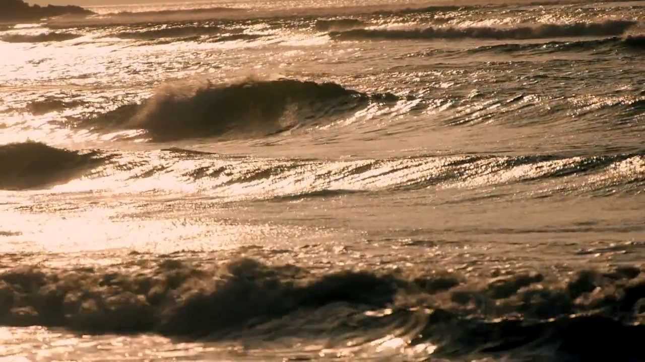 Chicama The Legendary Wave