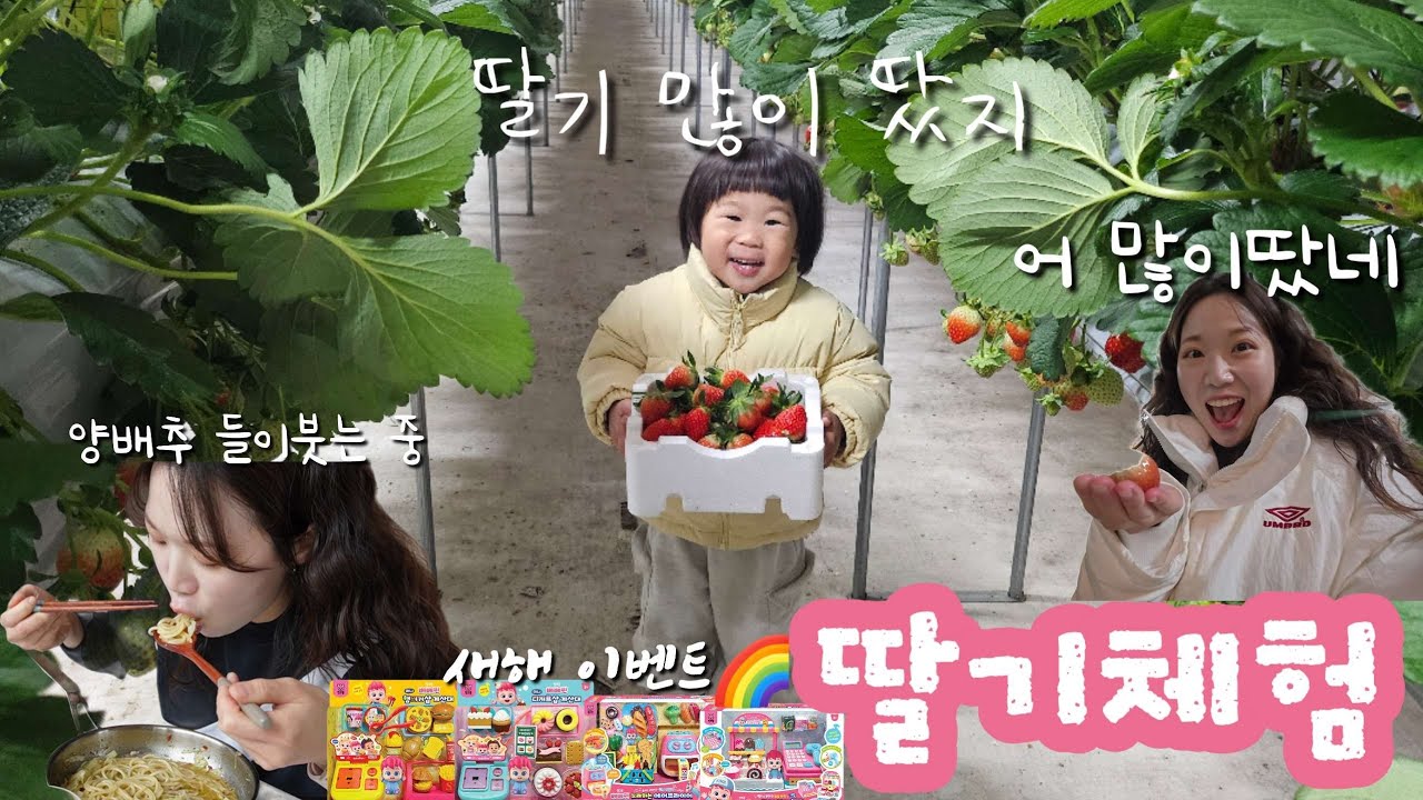 딸기농장 다녀온 날🍓, 갈비찜 만들기🍲, 새해선물이벤트🎁, 새해복많이받으세요🫶 30대아줌마 하루