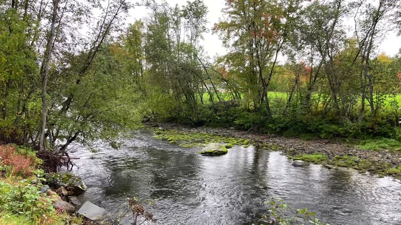 Ren og rettferdig, himmelen verdig
