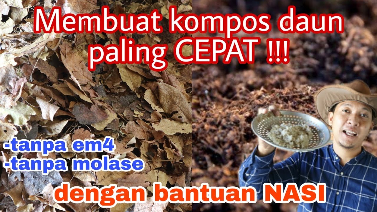 Cara membuat kompos daun dengan mudah & murah, how to make leaf compost