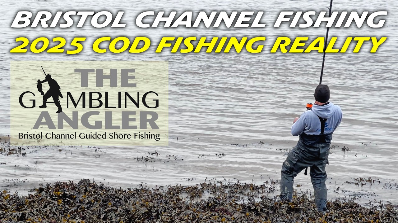 Bristol Channel Fishing With The Gambling Angler-  2025 Cod Fishing Reality