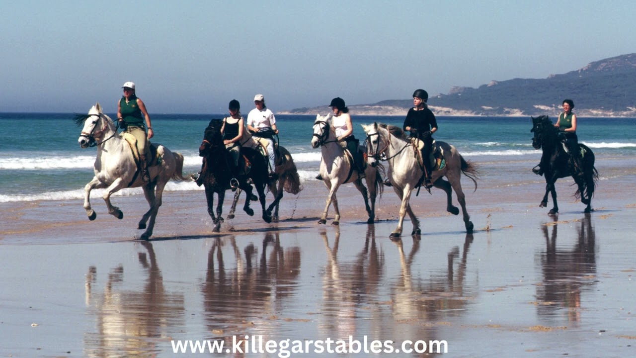 Killegar Stables