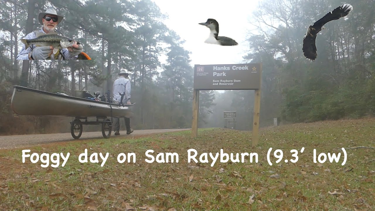 Paddling Sam Rayburn (9.3’ low, fog, loon, eagles, spotted bass)(Jan 7, 2026)