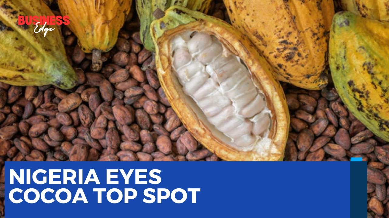Nigeria Eyes Top Cocoa Producer Spot $40.5M Investment Deal