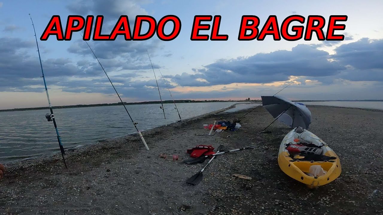 ¡UNA LOCURA! esta laguna esta llena de bagres
