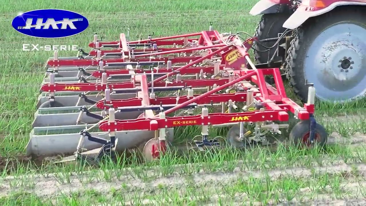 EX-series in onions on ridges at Custers