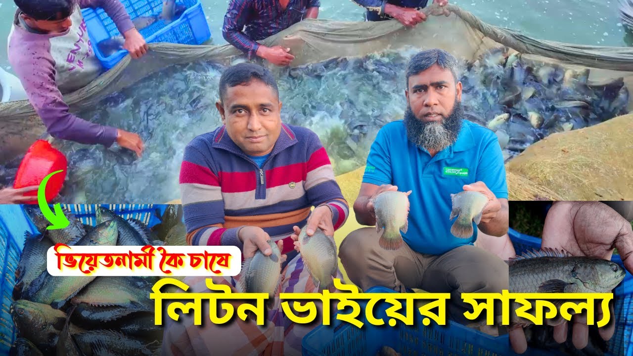 ভিয়েতনামী কৈ চাষে লিটন ভাইয়ের সাফল্য । সহজ পদ্ধতিতে মাছ চাষ । রুবেল । মাছ বাড়ি ।