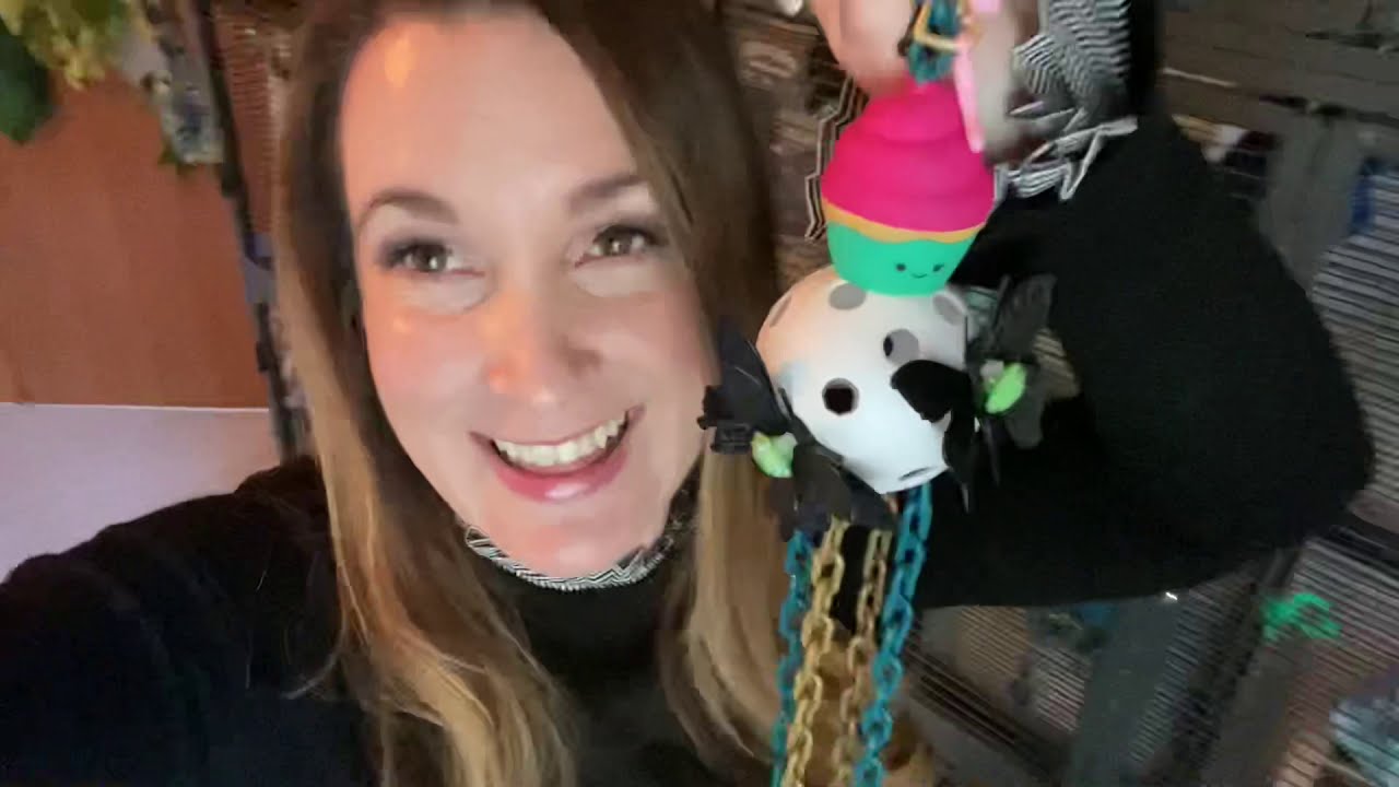 Sugar Glider Toy Inspiration | looking at 7 new toys I made recently