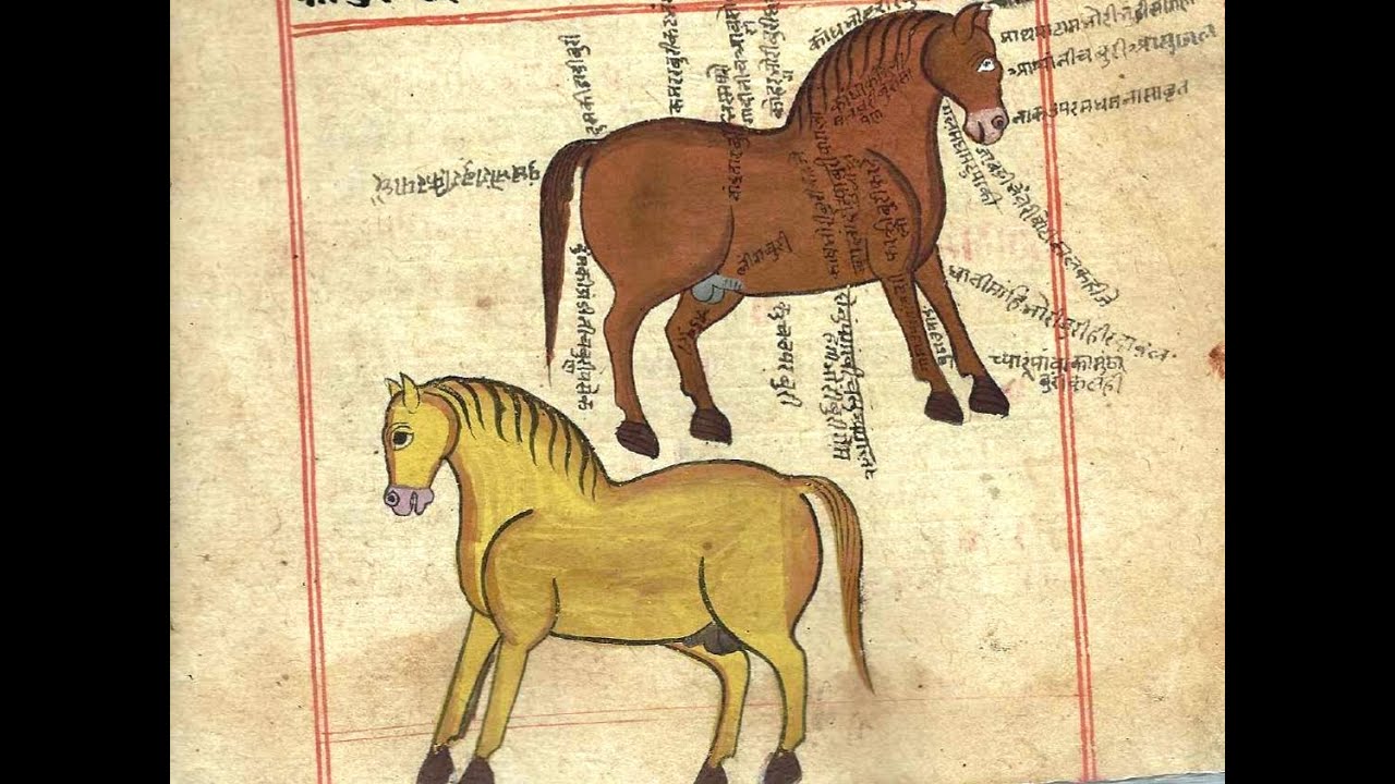 Shalihotra Samhita   A Rare Manuscript in Heritage Foundation Collection