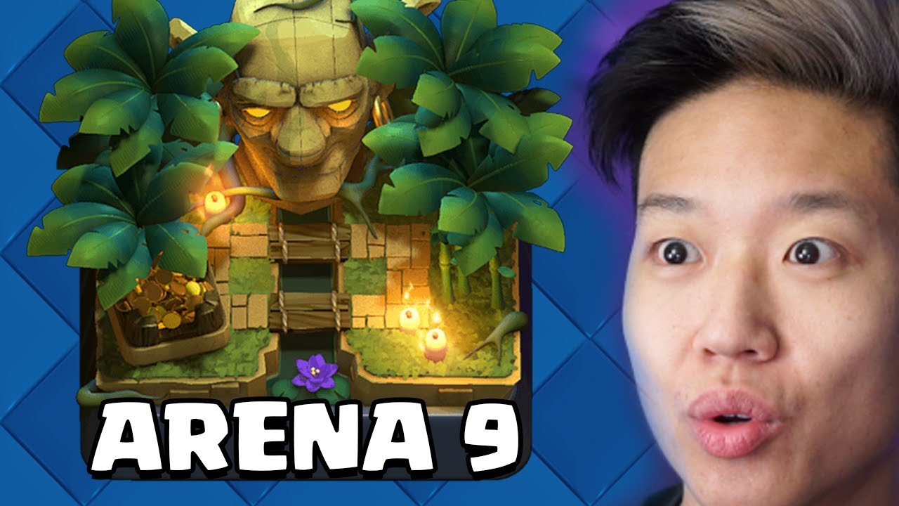 Arena 9