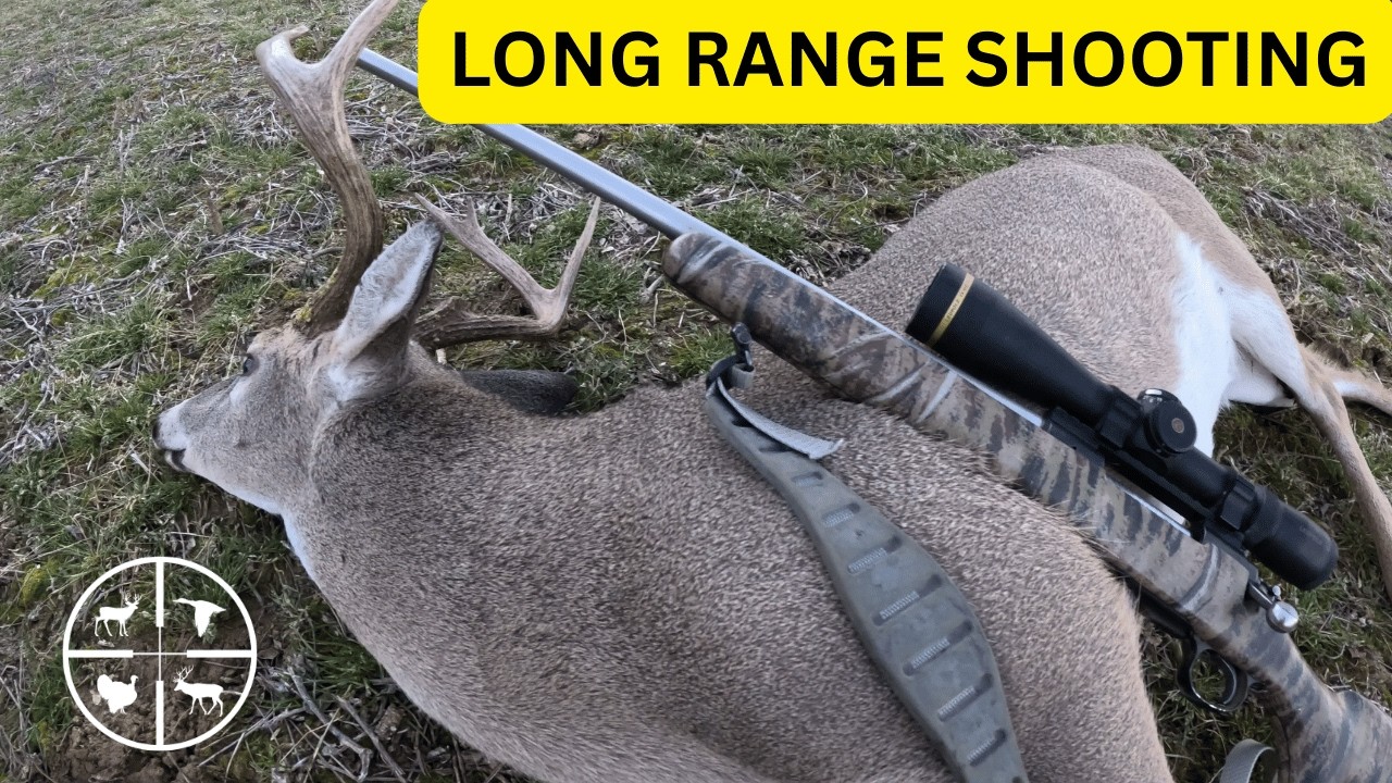 Late Season   (Long Range Shooting))