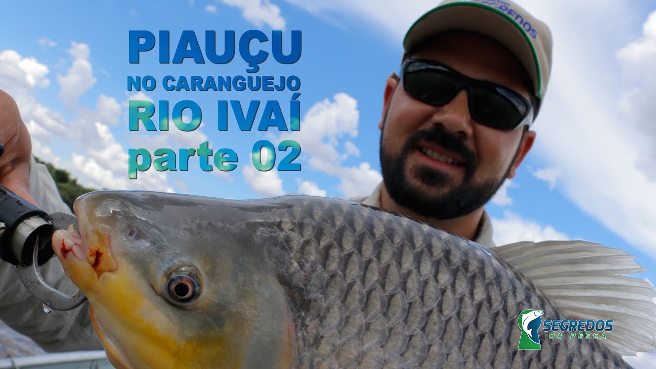 PIAUÇU NO CARANGUEJO, RIO IVAÍ PARTE 02